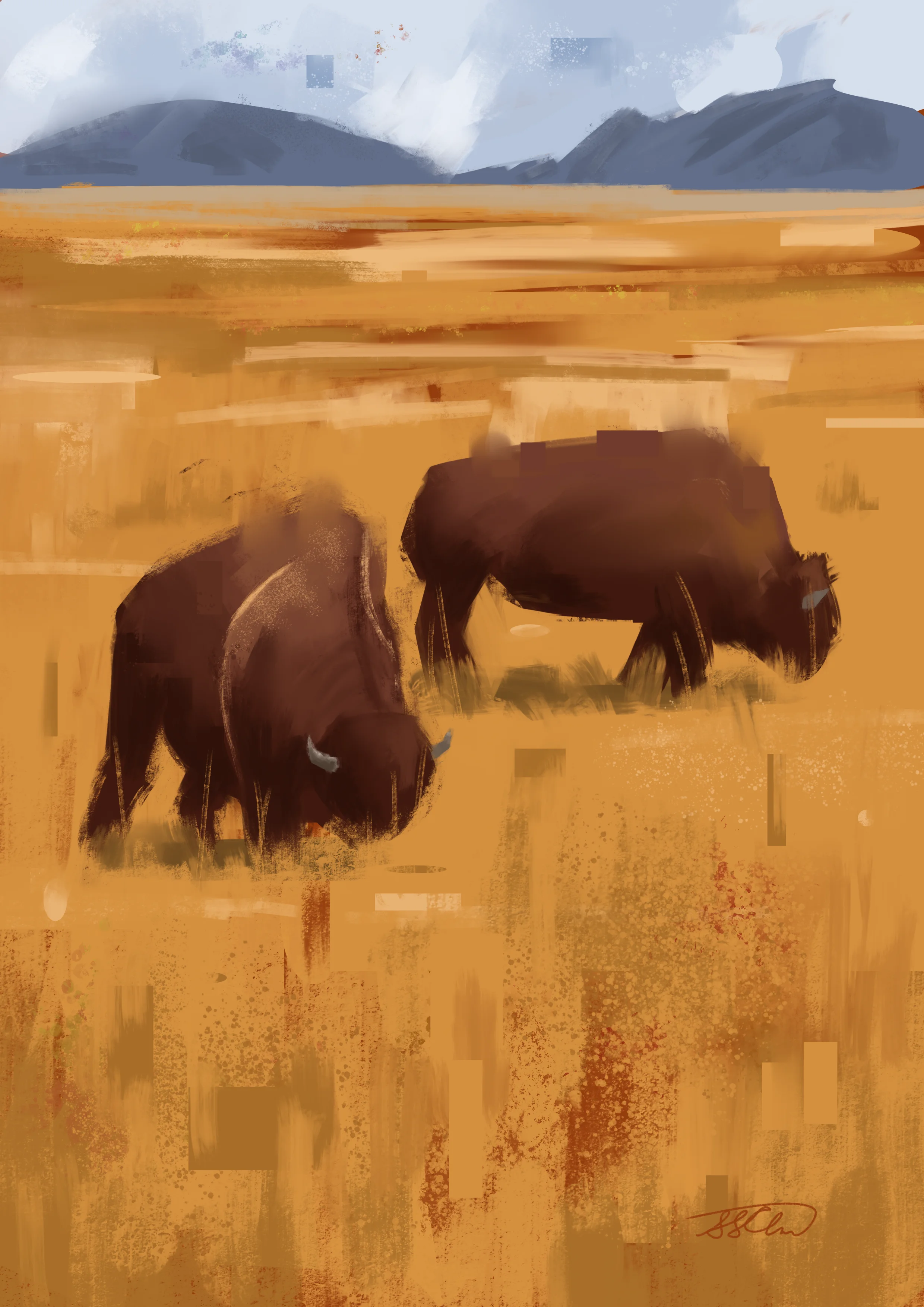 Bison in Utah